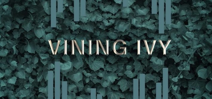 Vining ivy snapshot